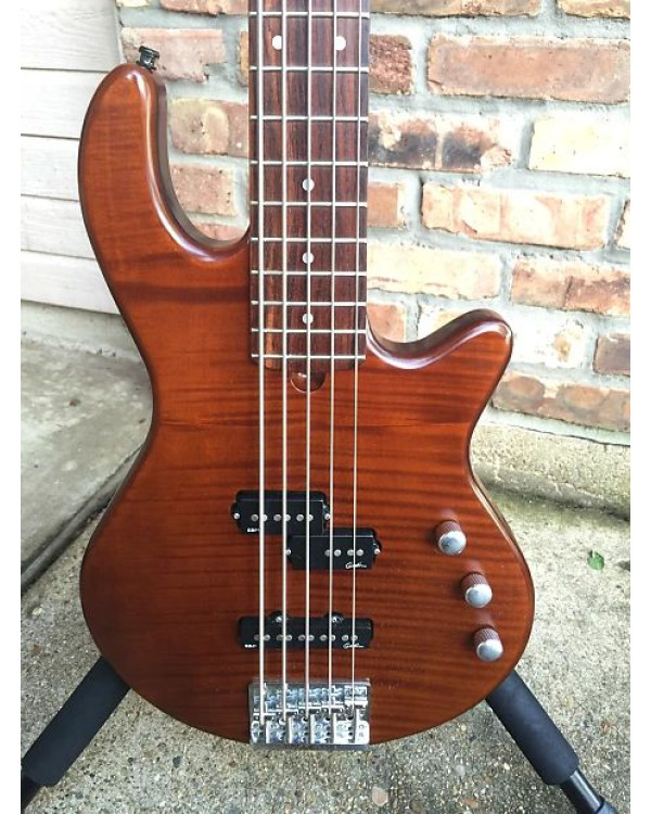 GODIN 019663 - FREEWAY 5 BASS Natural SG (Made in Canada) - п'ятиструнна бас-гітара