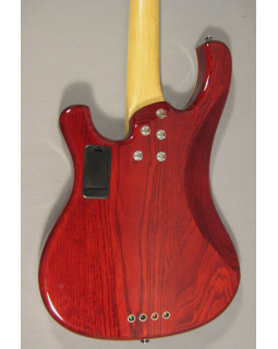 SCHECTER STARGAZER-5 Bass CG - п'ятиструнна бас-гітара-foto6