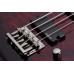 SCHECTER STILETTO EXTREME-4 BCH - чотириструнна бас-гітара