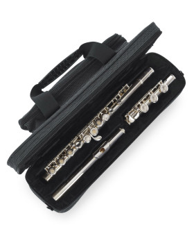 Кейс для флейти GATOR GLFLUTE A (США)-foto4