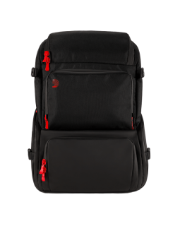 D'ADDARIO PW-BLGTP-01 Backline Gear Transport Pack-foto2