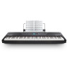 ALESIS RECITAL PRO