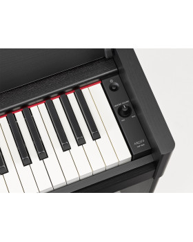 YAMAHA ARIUS YDP-S54 (Black)-foto6