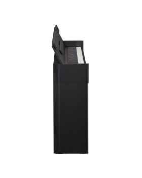 YAMAHA ARIUS YDP-S54 (Black)-foto4