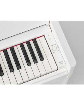 YAMAHA ARIUS YDP-S54 (White)-foto6