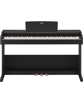 YAMAHA ARIUS YDP-103 (Black)-foto2