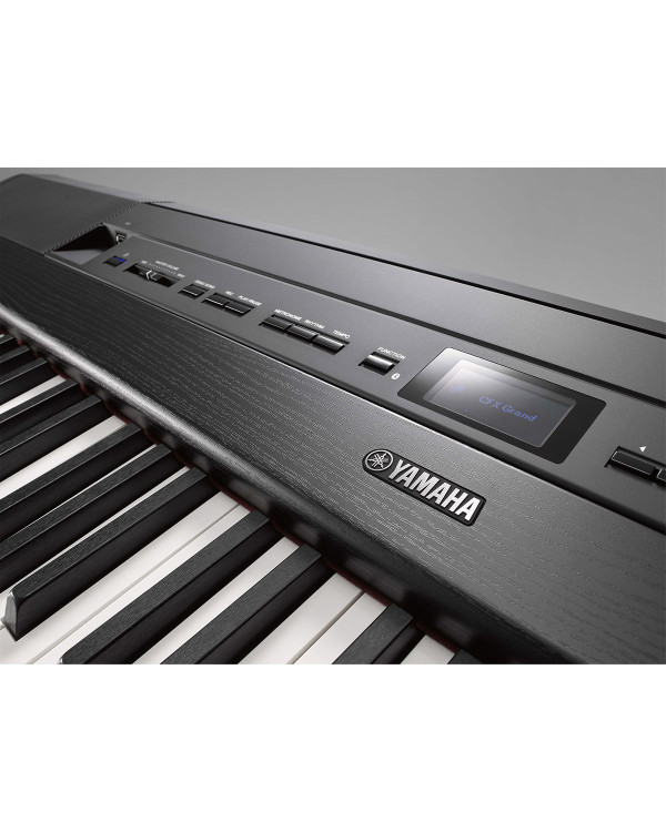 YAMAHA P-515 (Black)