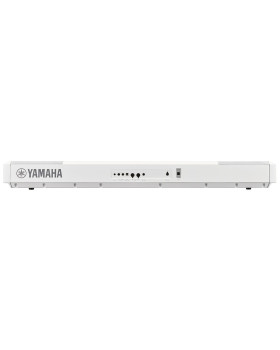 YAMAHA P-515 (White)-foto2