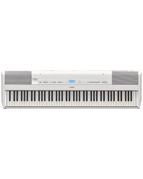 YAMAHA P-515 (White)