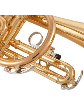 YAMAHA YCR-2330 III-foto5