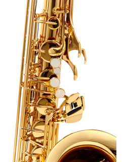 YAMAHA YTS-62-foto3