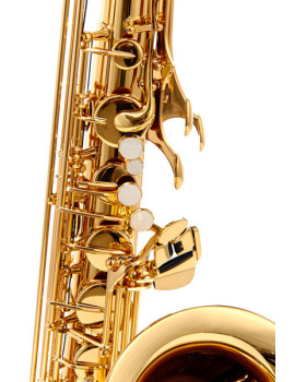 YAMAHA YTS-62-foto3