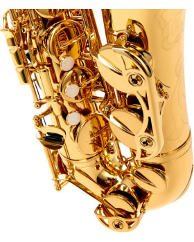 YAMAHA YTS-62-foto4