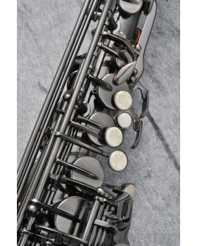 J.MICHAEL AL-980GML (S) Alto Saxophone-foto2