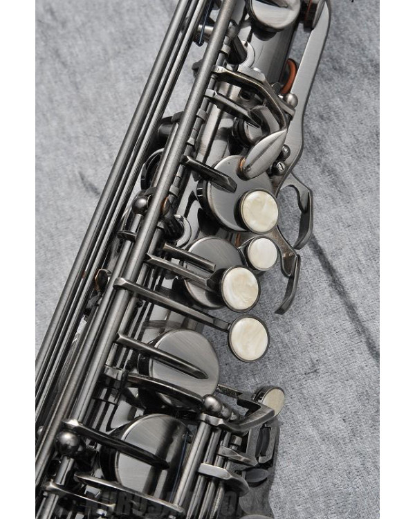 J.MICHAEL AL-980GML (S) Alto Saxophone