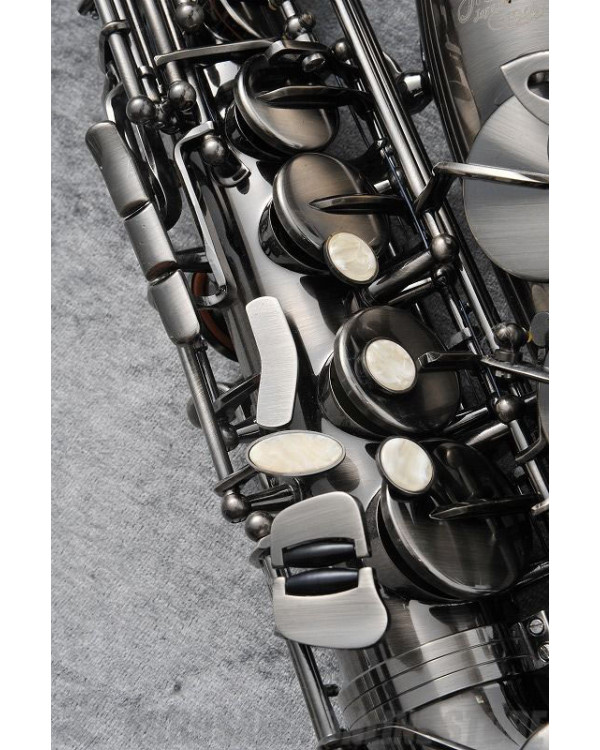 J.MICHAEL AL-980GML (S) Alto Saxophone
