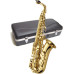 J.MICHAEL AL-500 Alto Saxophone