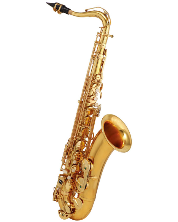 MAXTONE SXC29TL
