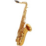MAXTONE SXC29TL