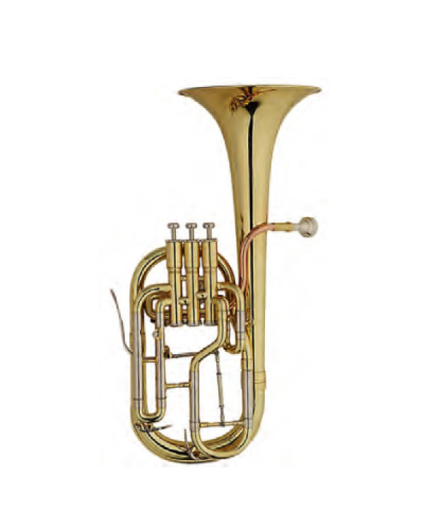 MAXTONE TAC53 RNL Alto Horn