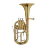 MAXTONE TAC53 RNL Alto Horn