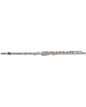 Флейта Maxtone TFC44N
