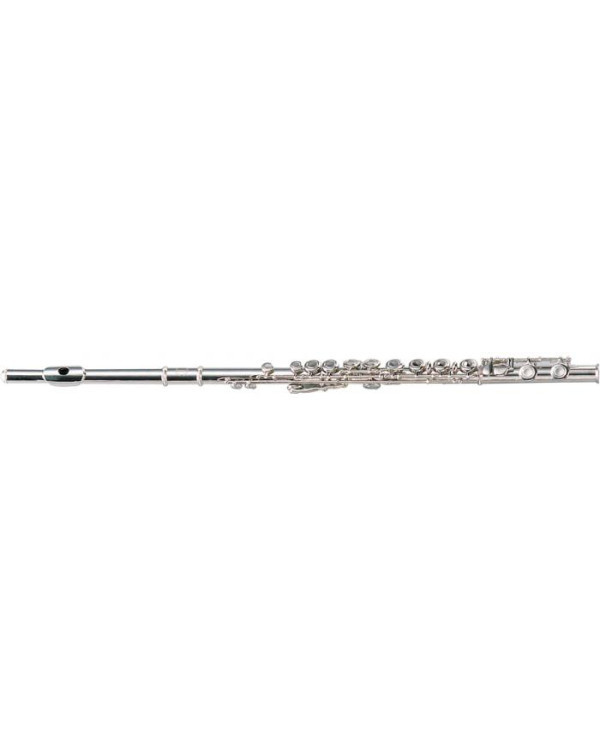 Флейта Maxtone TFC44N