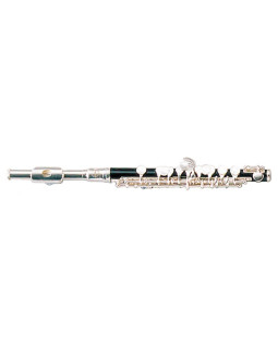 MAXTONE TPC60S PICCOLO FLUTE-foto2