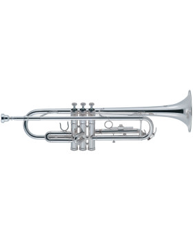 J.MICHAEL TR-300SA (S) Trumpet