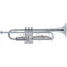 J.MICHAEL TR-300SA (S) Trumpet