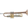 J.MICHAEL TR-450 (S) Trumpet