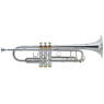 J.MICHAEL TR-500S (S) Trumpet