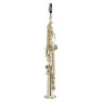 MAXTONE TSC21L
