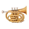 MAXTONE TT MINI 53L