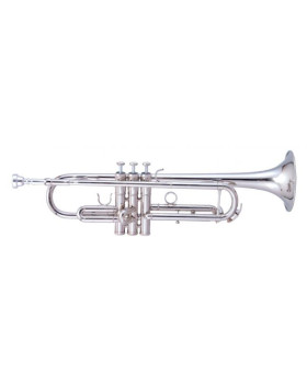 MAXTONE TTC60N2 (TTC234N)