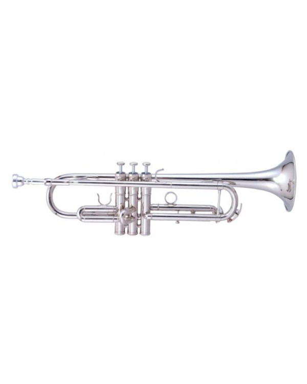 MAXTONE TTC60N2 (TTC234N)
