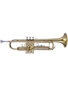 MAXTONE TTC23L