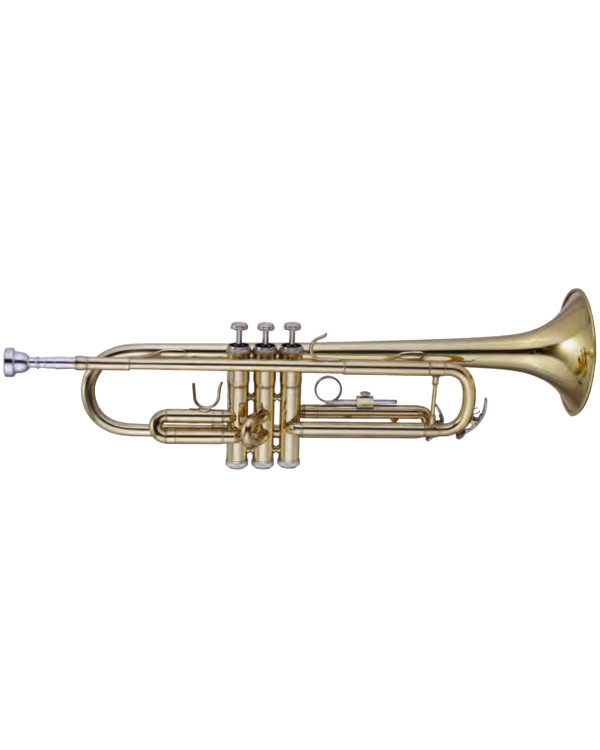 MAXTONE TTC23L