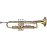 MAXTONE TTC23L