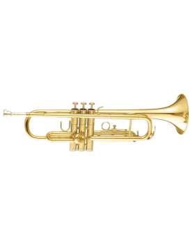 MAXTONE TTC30L (TTC1C)