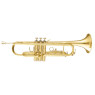 MAXTONE TTC30L (TTC1C)