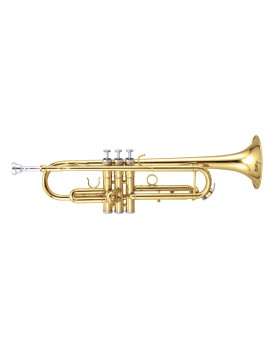 MAXTONE TTC60L2 (TTC234L)