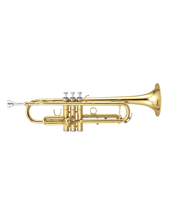 MAXTONE TTC60L2 (TTC234L)