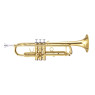 MAXTONE TTC60L2 (TTC234L)
