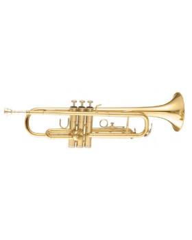 MAXTONE TTC30L (TTC1C)-foto2