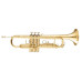 MAXTONE TTC30L (TTC1C)