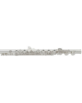 Флейта YAMAHA YFL-222-foto2