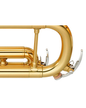 Труба YAMAHA YTR-4335GII-foto6