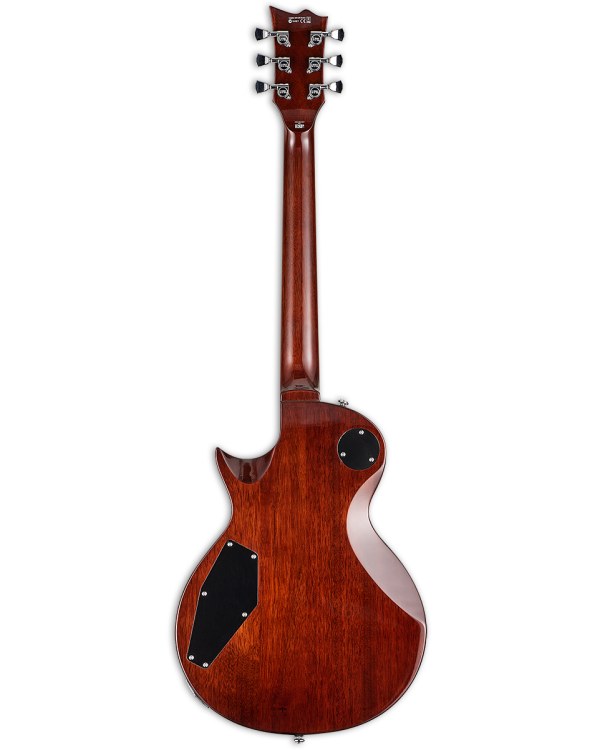 Електрогітара LTD EC-256FM (Dark Brown Sunburst)