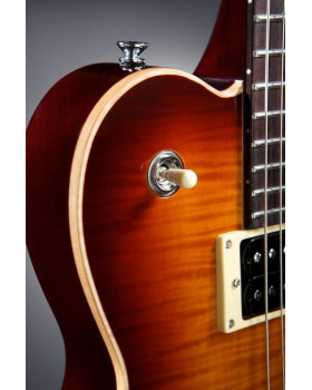 Електрогітара LINE6 JAMES TYLER VARIAX JTV-59 (CHERRY SUNBURST)-foto3